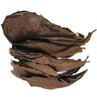 Hojas de olivo naturales de 50 piezas, mejora la calidad del agua y la estabilización, adecuadas para decoraciones de acuario - details 3