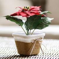 Flor fresca con cuerda de papel, tejido pequeño en el césped, cesta decorativa, cubierta interior ETA, contenedor de plantas - details 10