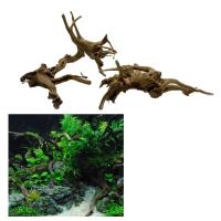 Decoración de Acuario de Tronco de Árbol Natural Adorno de Madera para Peces - details 1
