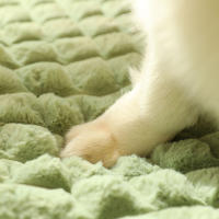 Cama de Perro de Peluche Cálida Plataforma de Kennel Antideslizante para Perros Grandes, Medianos, Pequeños Suministros para Mascotas - details 6