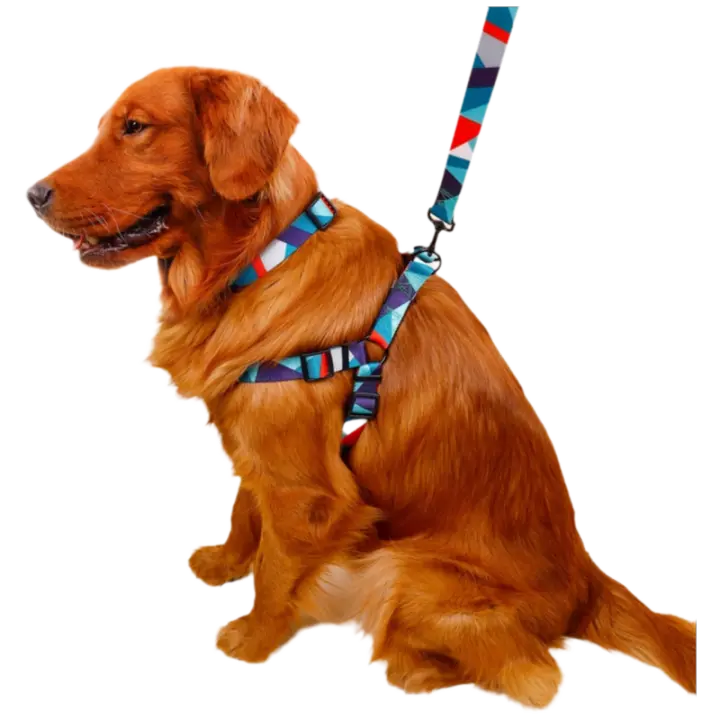 Juego De 3 Piezas Para Perros Abstracto Correa Y Correa De Anzuelo Con Arnes De Cuello En Nylon Para Caminar - 1