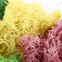 Hierba Artificial para sala de estar, Mini paisaje, plantas verdes, flores falsas, decoración de jardín, musgo eterno, plantas artificiales - details 11
