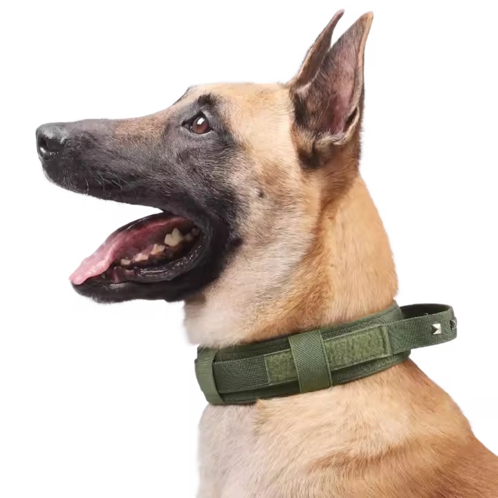 Collar de entrenamiento para perros ajustable y duradero, hebilla de Metal, Collar de cuello para perro resistente, Collar con remaches para perro transpirable, perro de trabajo - 1