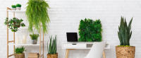 Plantas Artificiales Colgantes