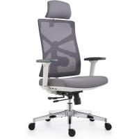 Silla de Oficina Ergonómica Resalto Alto con Reposabrazos 4D, Altura Ajustable, Soporte Lumbar y Reposacabezas 2D - details 0