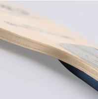DHS Power G 9 PG9 Tenis de mesa Hoja de ping pong ofensiva de madera pura de 7 capas para ataque rápido con transmisión por bucle - details 6