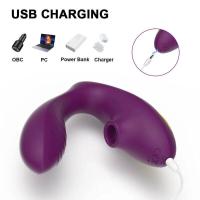 Leten-vibrador de succión vaginal de 10 velocidades, succionador vibratorio, succión Oral, estimulador de clítoris, juguete sexual erótico para bienestar Sexual - details 2
