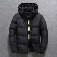 Ropa de invierno de algodón de estilo corto para hombres jóvenes, sombrero desmontable, ropa de trabajo, chaqueta cálida, cuello alto informal - details 3
