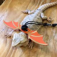 Correa Ajustable para Reptiles Diseño de Alas de Batido Cuerda de Tracción de Cuero Suave - details 6