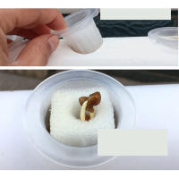 Kit de cultivo de Sistema hidropónico, tubería idroponico de PVC, sin tierra, 36 agujeros - details 12