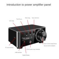 AMPLIFICADOR DE POTENCIA Digital HiFi, dispositivo con Bluetooth 5,0, Clase D, 80Wx2, Audio para el hogar, coche, marino, USB/AUX, enchufe plateado de la UE - details 5