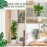 Palo de crecimiento para escalada en jardín, pequeño poste de musgo de plástico, utilizado para pila de soporte de plantas Monstera - details 3