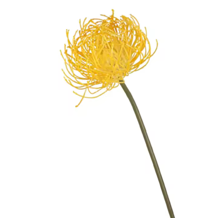 Flor de Leucospermum Artificial de tacto Real, elegante garra de cangrejo de plástico, crisantemos hechos a mano, flor falsa para sala de estar y escritorio - 1
