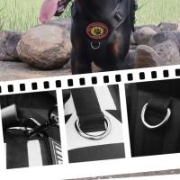 Suministros para gatos, conjunto de correa reflectante para perros, Anti Escape, sin tirones, arnés para perros grandes, chaleco, cuerda de tracción ajustable transpirable para perros y cachorros - details 6
