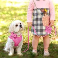 Set de 3 Arneses Transpirables para Perros Collar de Terciopelo Suave con Correa - details 47