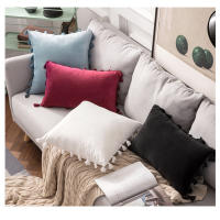 Bonenjoy 1 funda de cojín con borlas, funda de almohada de terciopelo, fundas de almohada de color sólido para decoración de sofá/cama/coche, 30x50/45x45/50x50 - details 2