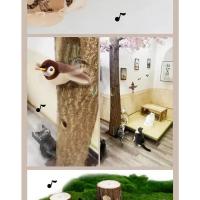 Juguete de Gato Interactivo Pájaro Volador Recargable que Ruge Juguete de Peluche Activado por Tacto de Catnip - details 12