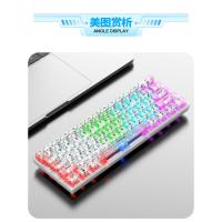 Teclado mecánico con cable K30 transparente intercambiable en caliente - details 11