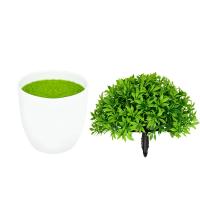 Plantas artificiales en maceta, bonsái verde, árbol pequeño, plantas de hierba, adorno en maceta, flores falsas para decoración del jardín del hogar, fiesta de boda - details 4