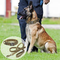 Collar táctico K9 para perro, Correa militar para mascotas, accesorios de entrenamiento para perros medianos y grandes, tamaño ajustable y extraíble - details 19