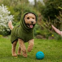 Disfraces para Perros, Chaqueta Calmante de Terciopelo para Perros, Sudadera con Capucha para Mascotas de Color Sólido, Gruesa, Resistente al Viento, Ropa de Dormir Cálida para Mascotas, Invierno y Otoño - details 3