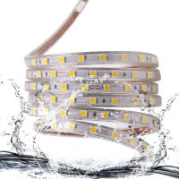 Tira de luces LED de CA 220V con enchufe de interruptor SMD5050, 60LEDs/m, cinta LED impermeable, Blanco/blanco cálido, rayas flexibles - details 5