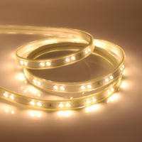 Tira de luces LED SMD5730 de 220V, cinta de 68LEDS/M, impermeable para exteriores, con enchufe europeo, blanco frío y cálido - details 6