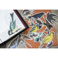 Pegatinas de Pájaros DIY de 17 Piezas Decoración de Libros, Juguetes y Papelería Artesanal - details 5