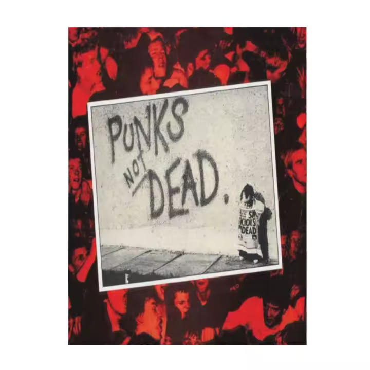 Manta de franela The exploted punk's Not Dead para sofá de dormitorio - 1