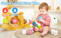 Montessori Sensory Toys for Infant and Toddlers