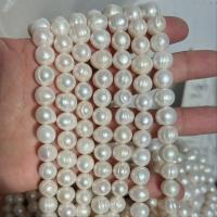 Cuentas de Perla Blanca Frescas Naturales A+ Cuentas Redondas Irregulares para Accesorios de Joyería DIY Certificado CE - details 5