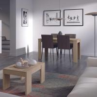 Mesa de Centro Elevable, Mesita de Salon Comedor, Acabado en Gris Ceniza, Medidas: 100 cm (Largo) x 50 cm (Ancho) x 43-54 cm (Alto) - details 13