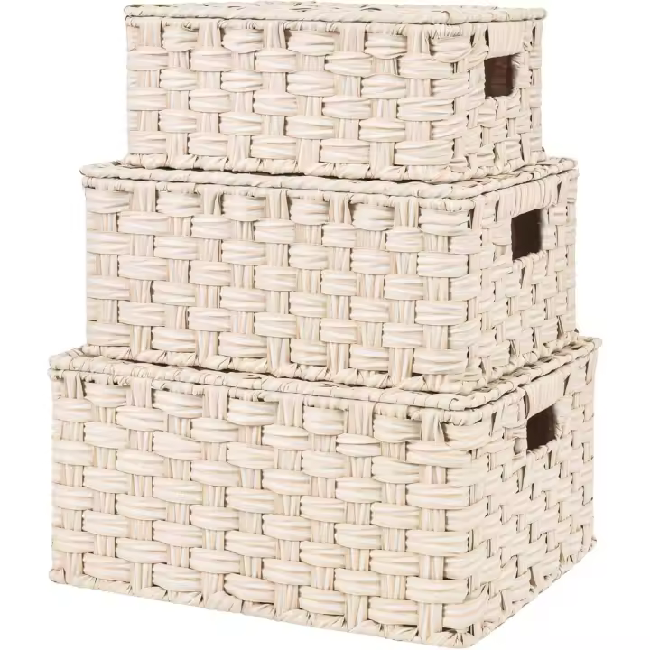 Cestas de Almacenamiento con Tapa Paquete de 3 Organizadoras Rectangulares - 1