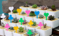 Etiquetas de clasificación de plantas de jardín, marcadores de vivero de plántulas, etiquetas de aterrizaje impermeables en macetas, 50 piezas - details 4