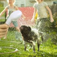 Ducha Universal para Mascotas Deslizable, Portátil, Atornillo de Grifo de Baño para Perros, Camiones, Aseo de Mascotas - details 5