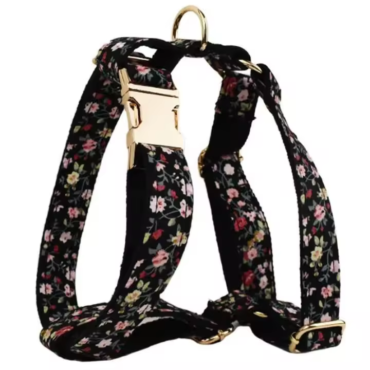 Conjunto Correa Perro, Collar con nombre personalizado Perros Pequeños y medianos, Placa Identificación personalizada, arnés - 1