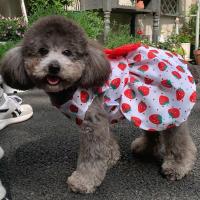 Elegante Vestido Estampado para Perros Estilo de Princesa Chihuahua Perfecto para Perros Pequeños y Medianos Traje de Boda para Perros - details 1