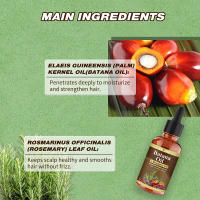 Aceite de Batana con Romero para el crecimiento del cabello, aceite orgánico para fortalecer el cuero cabelludo nutritivo, cuidado del cabello, Aceite Esencial Hidratante, 30ML - details 4