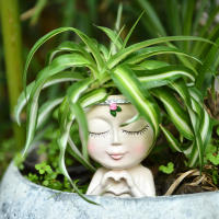 Amor europeo transfronterizo chica medio cuerpo suculenta planta verde maceta almacenamiento en el hogar patio jardín decoración de alta gama - details 6