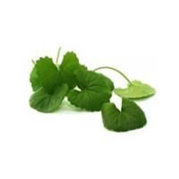 centella