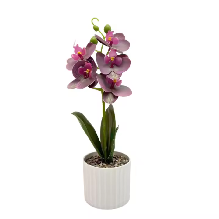 Nuevo con macetas Phalaenopsis Artificial Miniscape Color vibrante Phalaenopsis Artificial planta en maceta plantas falsas realistas - 1