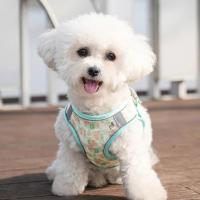 HP214--Arnés de tela de malla estable de 1 pieza, arnés ligero y transpirable para perros y gatos. Correa para perro de 1,5 metros. - details 2