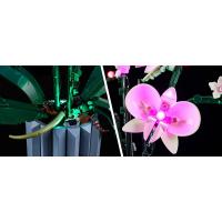 Orquídeas (Versión de inducción manual) 10311