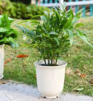 Maceta de plástico para plantas de vivero de jardín al aire libre grande para balcón - details 1