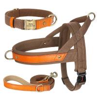 Collar de Cuero de Nylon para Perros Correa de Captura de Mascotas sin Tirón para Perros Pequeños y Grandes Correa de Vestir de Mascotas - details 5