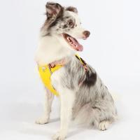 Arnés para perros transpirable impermeable con bolsillos con cremallera chaleco para mascotas reflectante resistente al desgaste pecho de perro caminando al perro - details 5