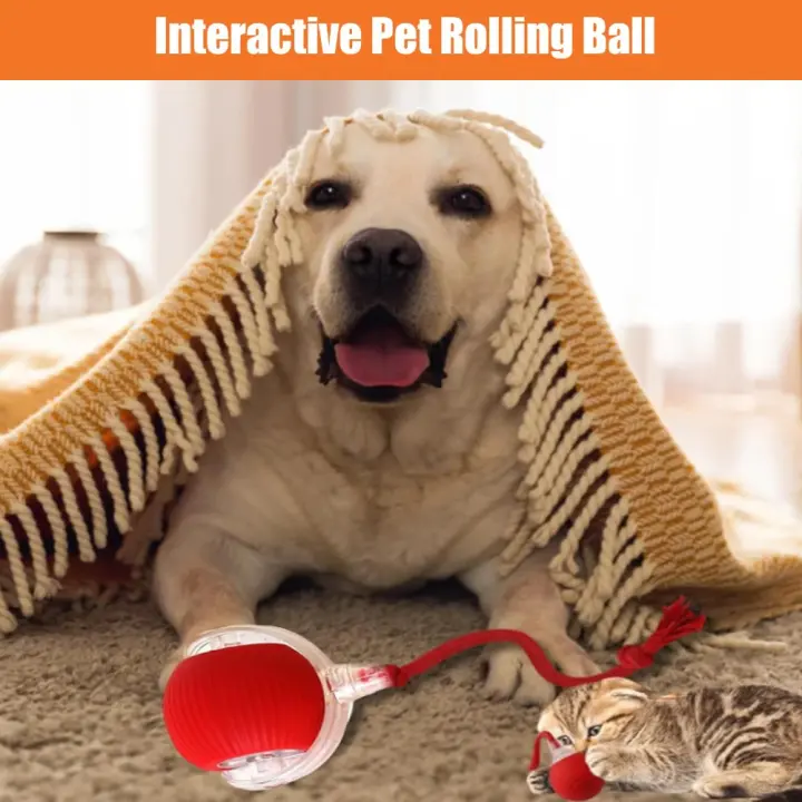 Bola Interactiva para Mascotas Juguete Inteligente de 360° para Perros y Gatos Harnés de Mascotas - 1