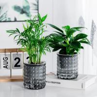 Maceta de plantas hidropónicas de autorriego, Mini maceta suculenta extraíble de plástico, florero de mesa, decoración de bonsái de oficina, nuevo - details 8