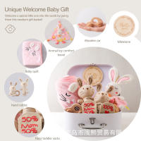 Bebés, regalo de cumpleaños, cesta bebe regalo, bautismo conejo elefante - details 2