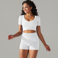Hamidou-Conjunto de ropa deportiva sin costuras para mujer, Leggings de cintura alta, camisetas de manga corta, pantalones cortos, conjunto de 2 piezas, ropa de gimnasio - details 1